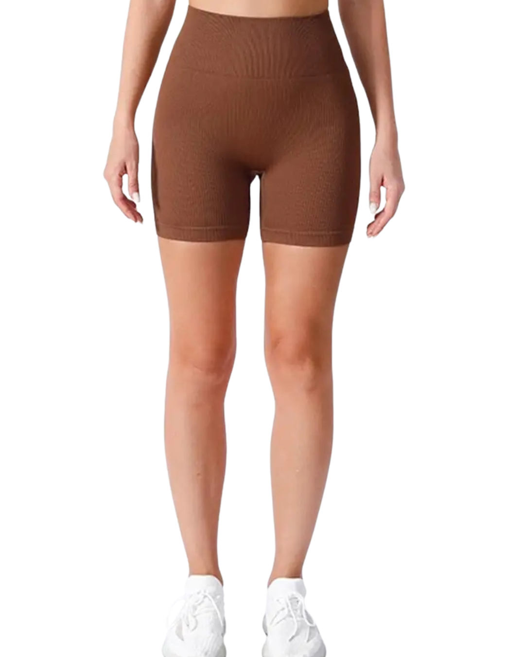 Seamless Ribbed Sculpt Shorts