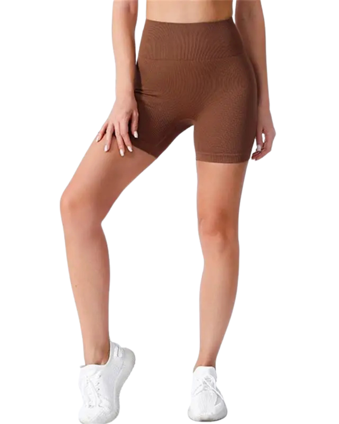 Seamless Ribbed Sculpt Shorts